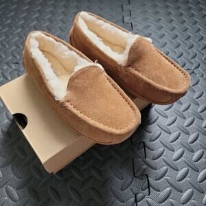 UGG Kids 13 Ascot in Chestnut NIB